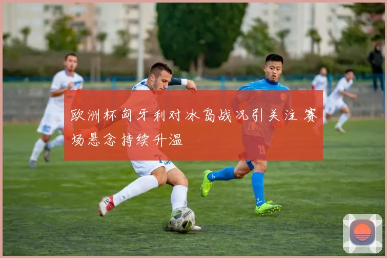 欧洲杯匈牙利对冰岛战况引关注 赛场悬念持续升温