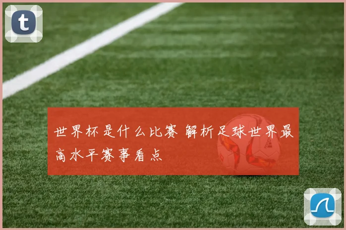 世界杯是什么比赛 解析足球世界最高水平赛事看点