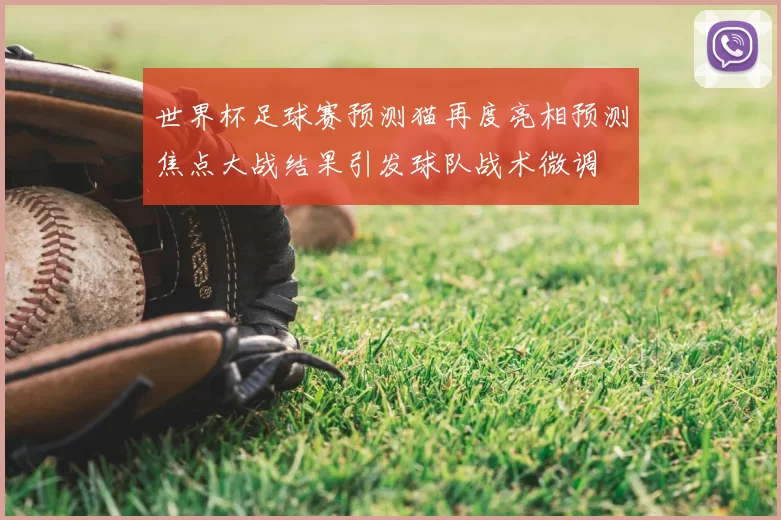 世界杯足球赛预测猫再度亮相预测焦点大战结果引发球队战术微调