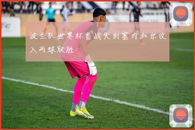 波兰队世界杯首战失利塞内加尔攻入两球取胜