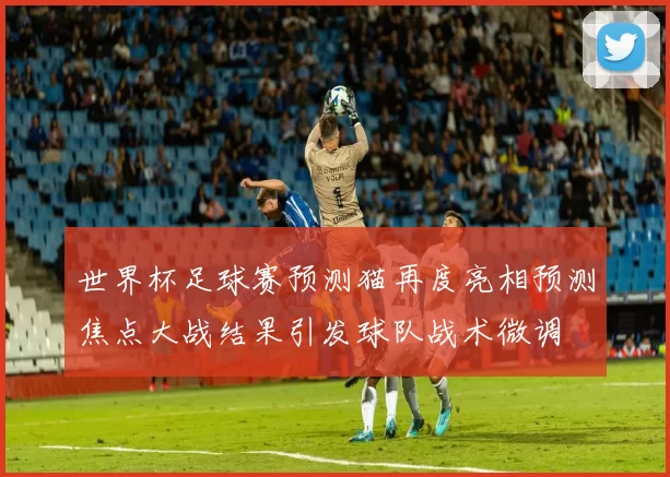 世界杯足球赛预测猫再度亮相预测焦点大战结果引发球队战术微调